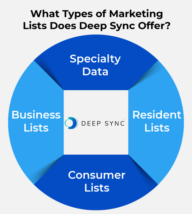 The variety of marketing list types Deep Sync offers, as discussed in the text below.